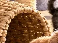 Détail 2