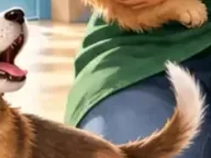 Détail 4