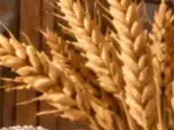 Détail 4