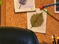 Détail 7