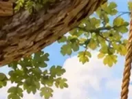 Détail 2