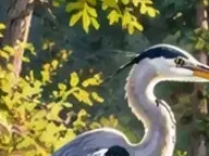 Détail 7