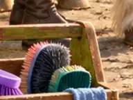 Détail 5