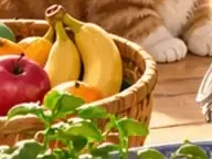 Détail 4
