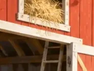 Détail 5