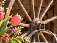 Détail 6