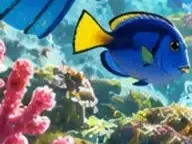 Détail 7