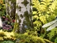 Détail 4