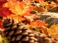 Détail 1