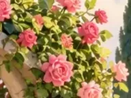 Détail 5