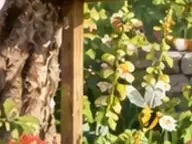 Détail 3