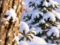 Détail 2