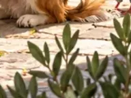 Détail 2