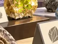 Détail 6