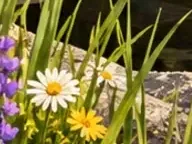 Détail 1