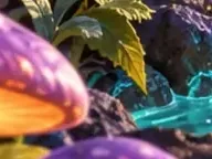 Détail 1