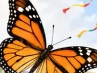 Détail 1