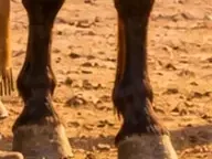 Détail 1