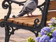 Détail 1