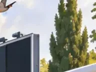 Détail 4