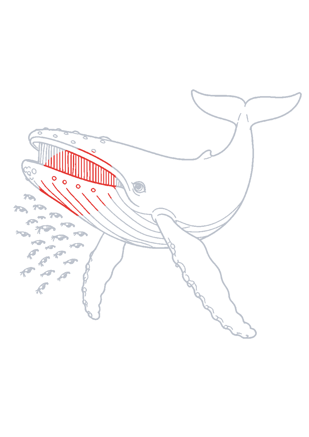 Étape 1 du tutoriel Dessiner une baleine facilement en 7 étapes