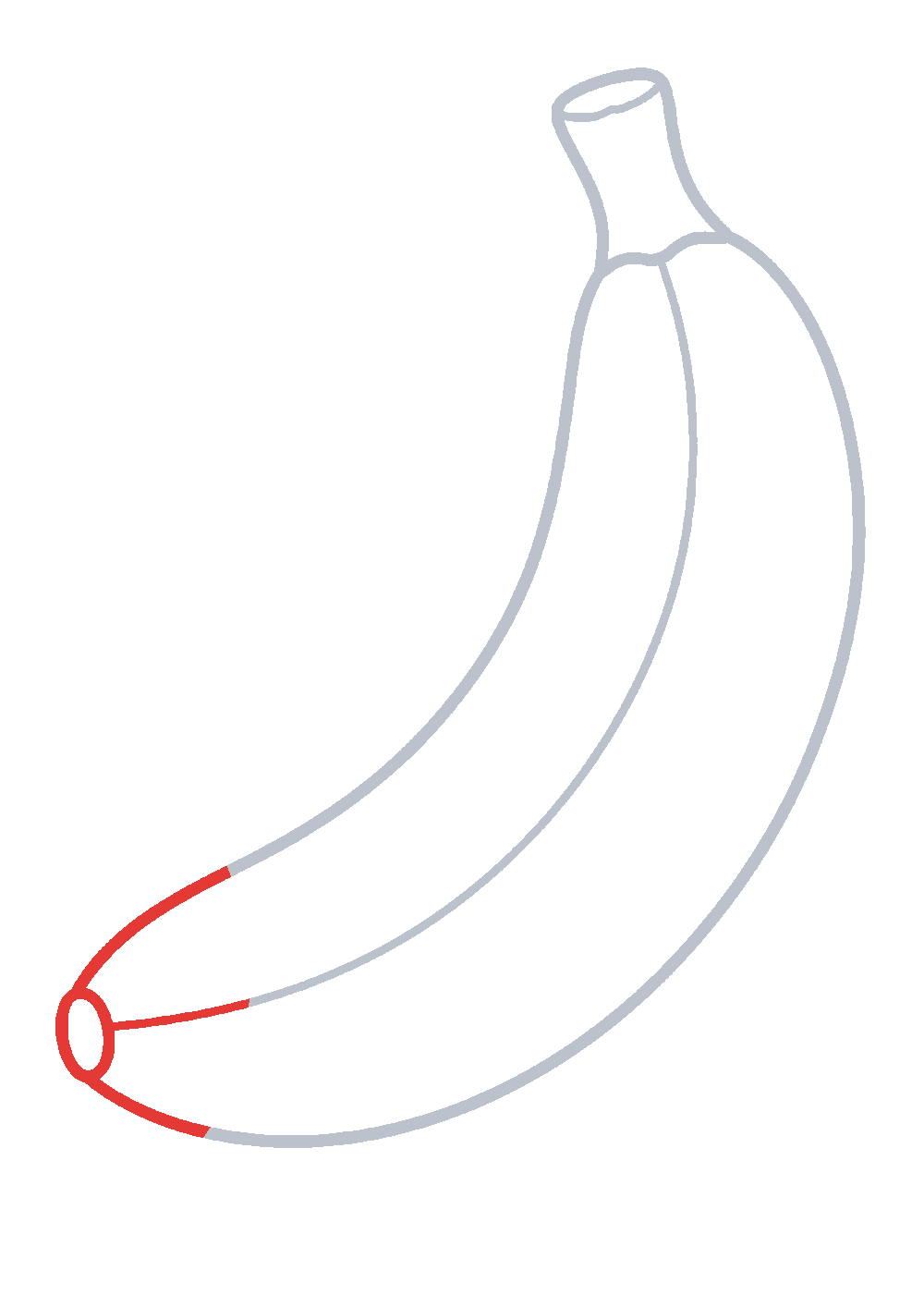 Étape 1 du tutoriel Dessiner une banane facilement en 7 étapes