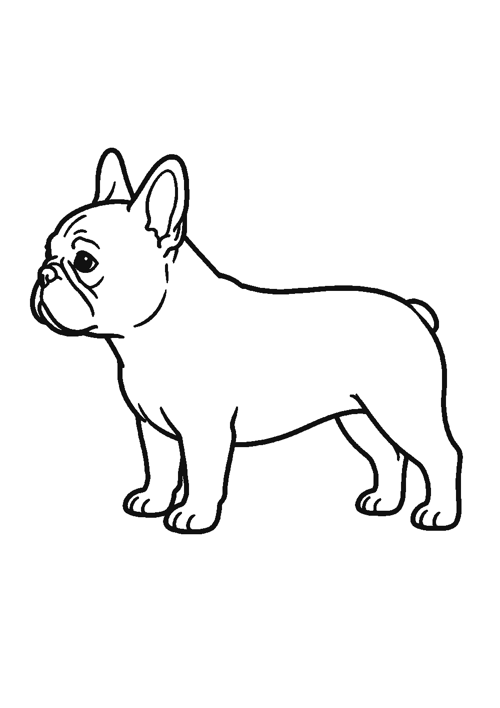 Dessiner un bouledogue français facilement en 7 étapes