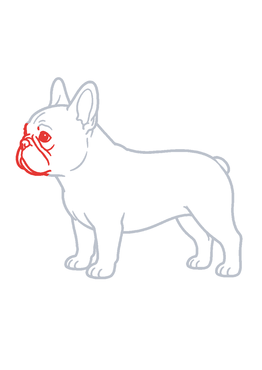 Étape 1 du tutoriel Dessiner un bouledogue français facilement en 7 étapes