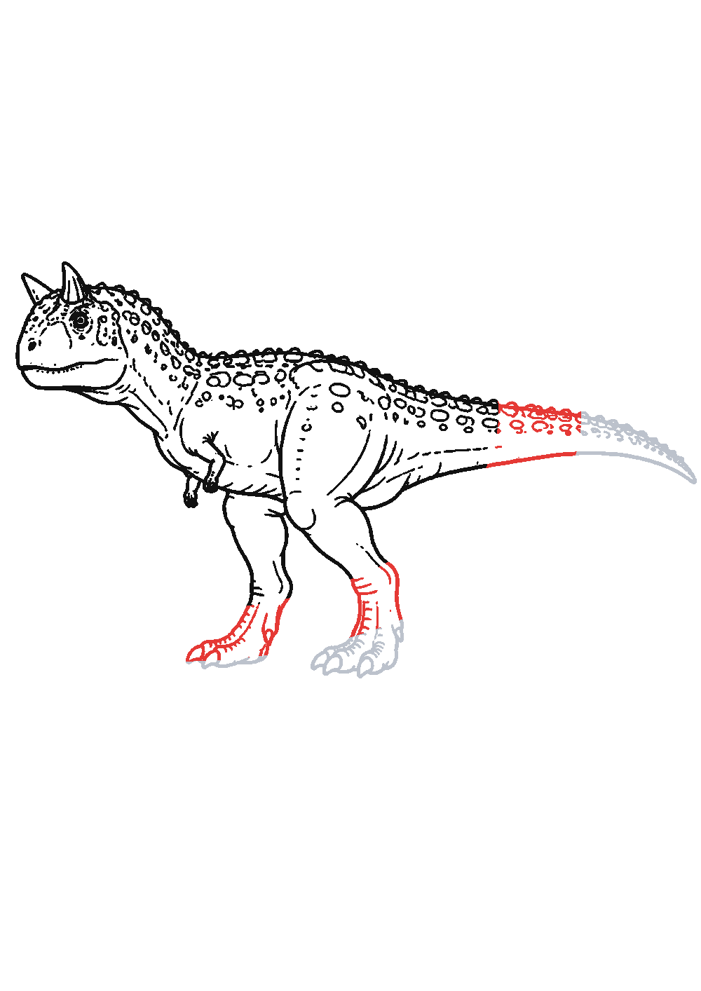 Étape 6