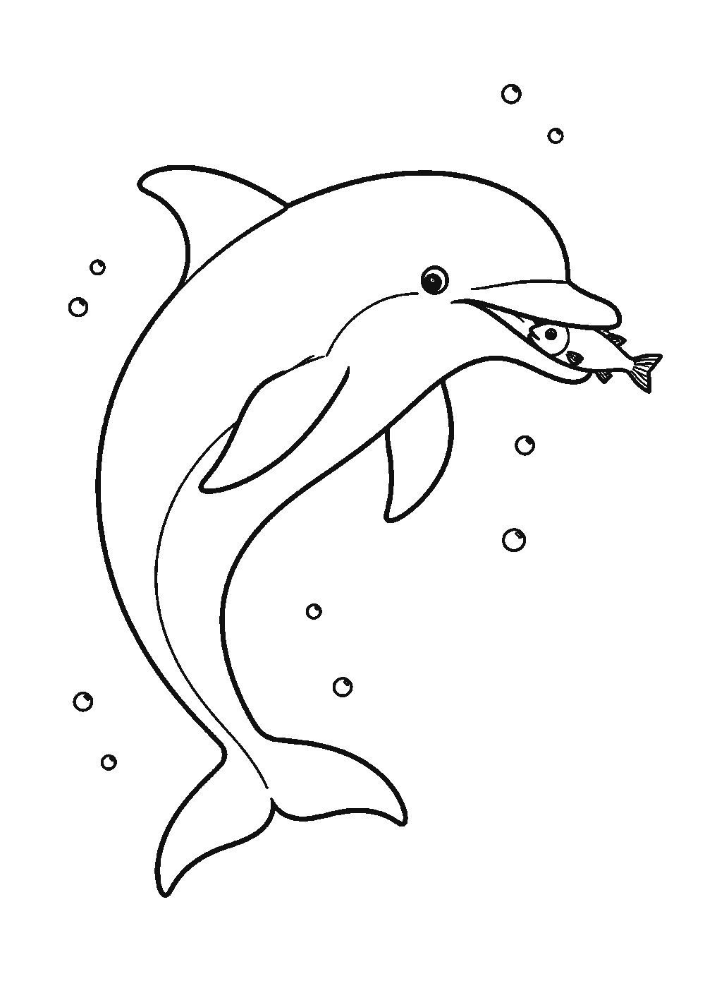 Dessiner un dauphin facilement en 7 étapes