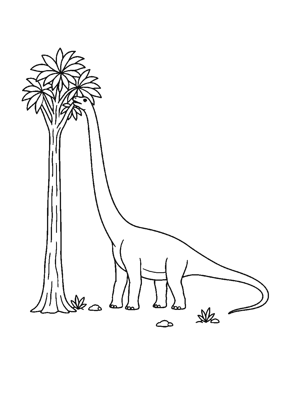 Dessiner un diplodocus facilement en 7 étapes
