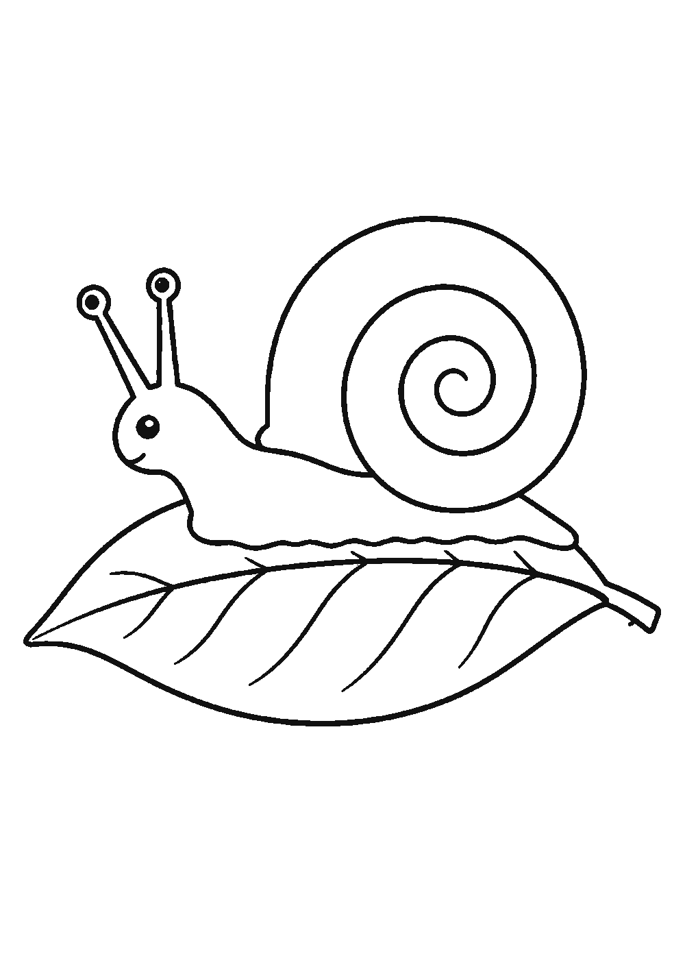 Dessiner un escargot facilement en 7 étapes