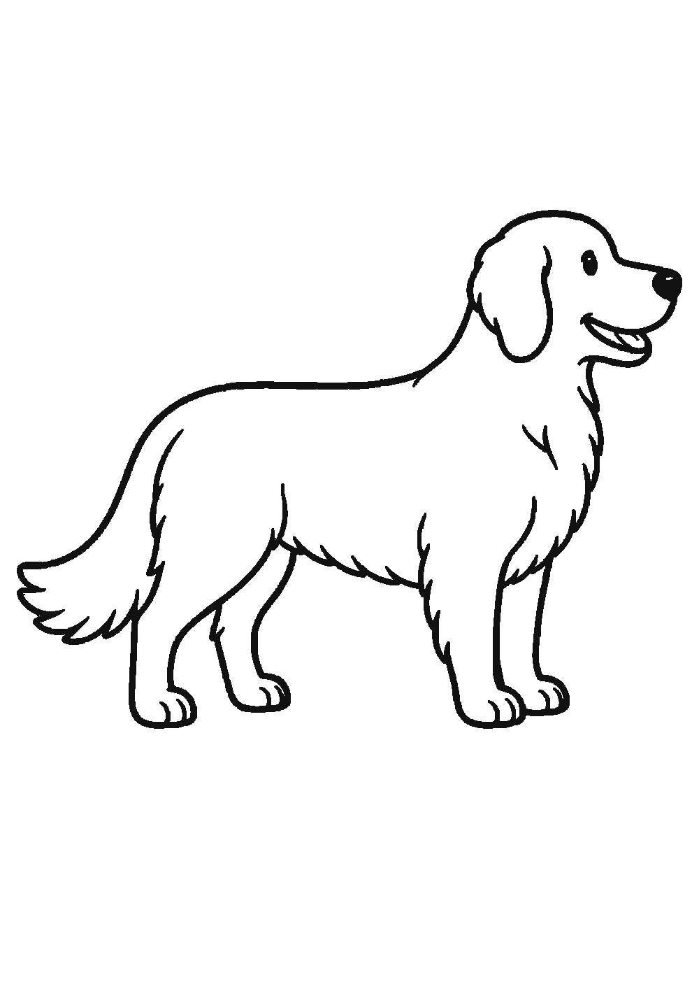 Dessiner un golden retriever facilement en 7 étapes