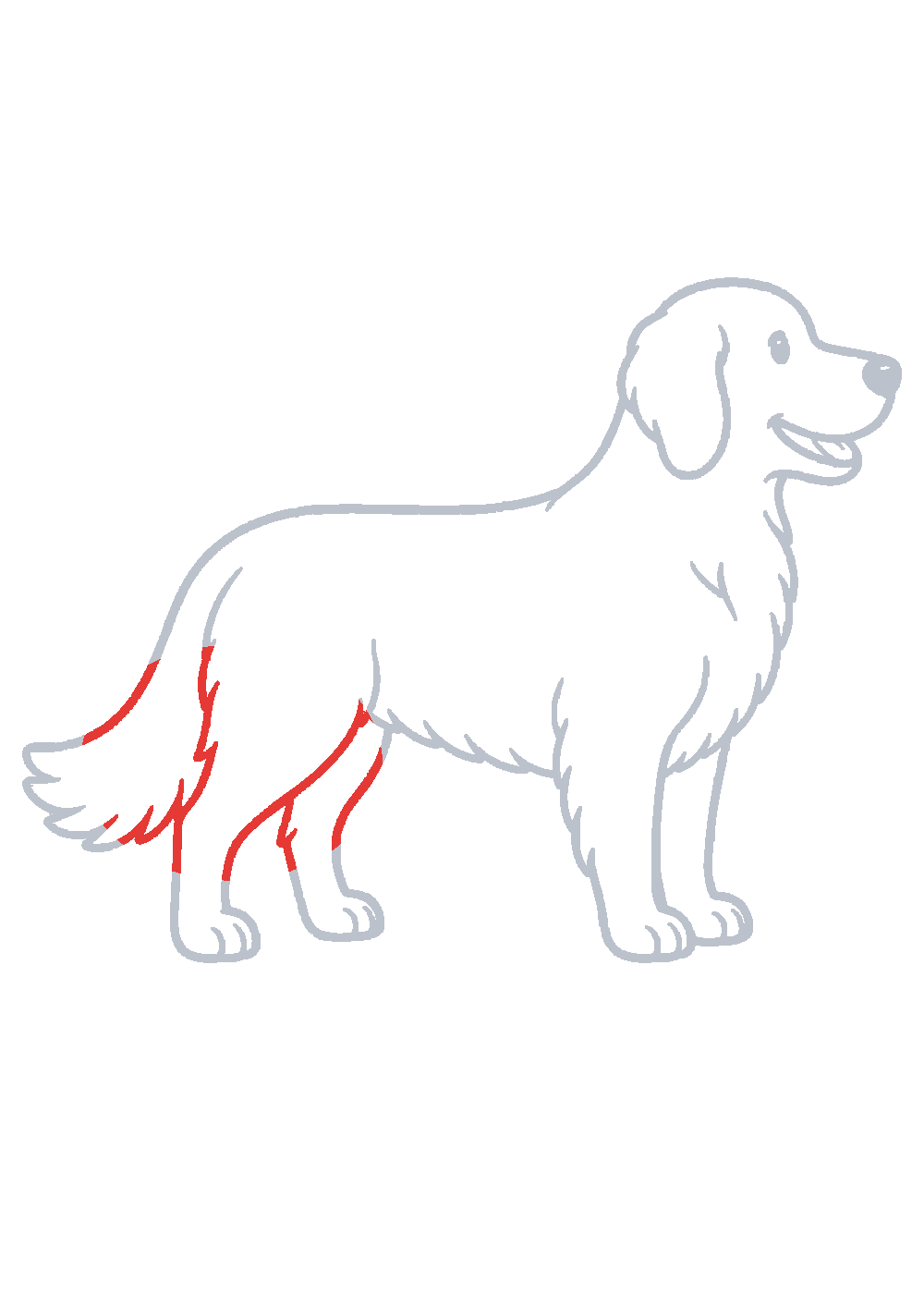 Étape 1 du tutoriel Dessiner un golden retriever facilement en 7 étapes