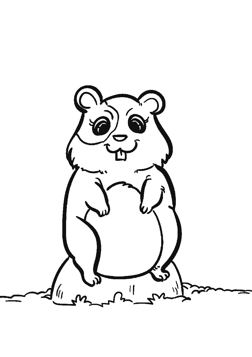 Dessiner un hamster facilement en 7 étapes