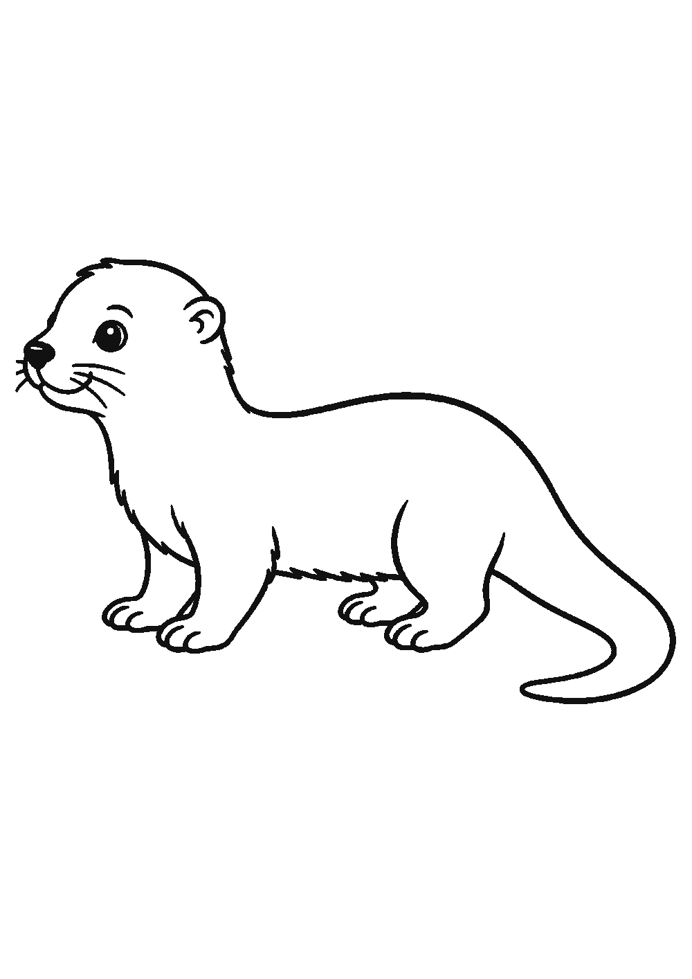 Dessiner une loutre facilement en 7 étapes