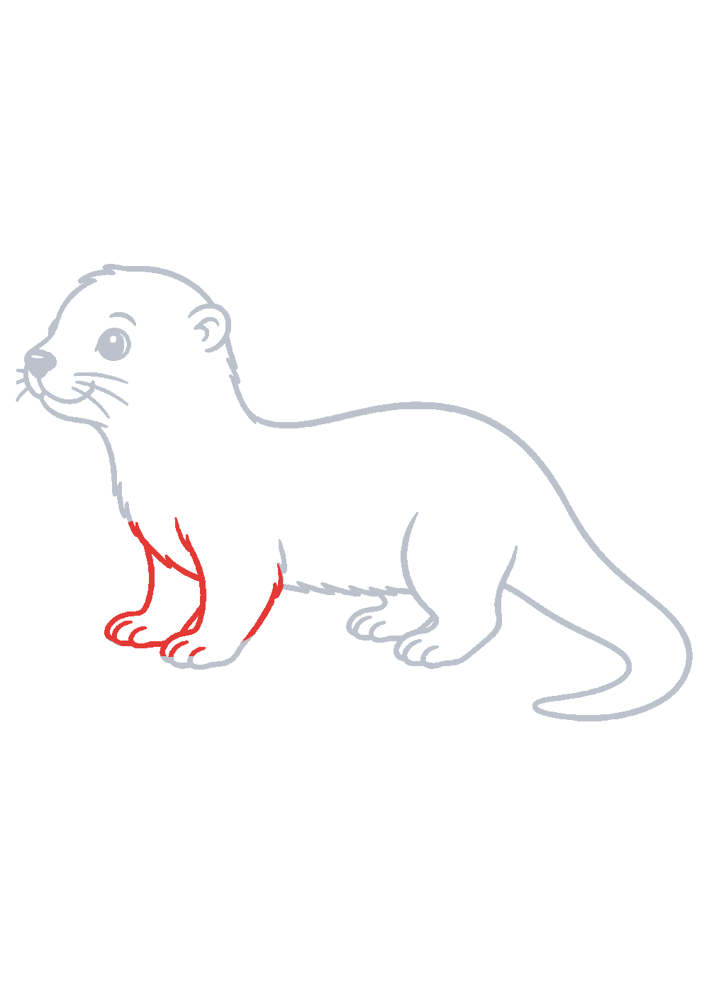 Étape 1 du tutoriel Dessiner une loutre facilement en 7 étapes