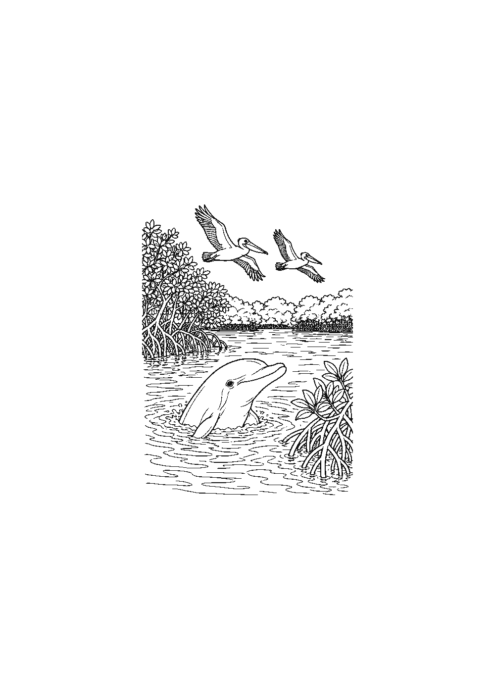 Dessiner une mangrove facilement en 7 étapes