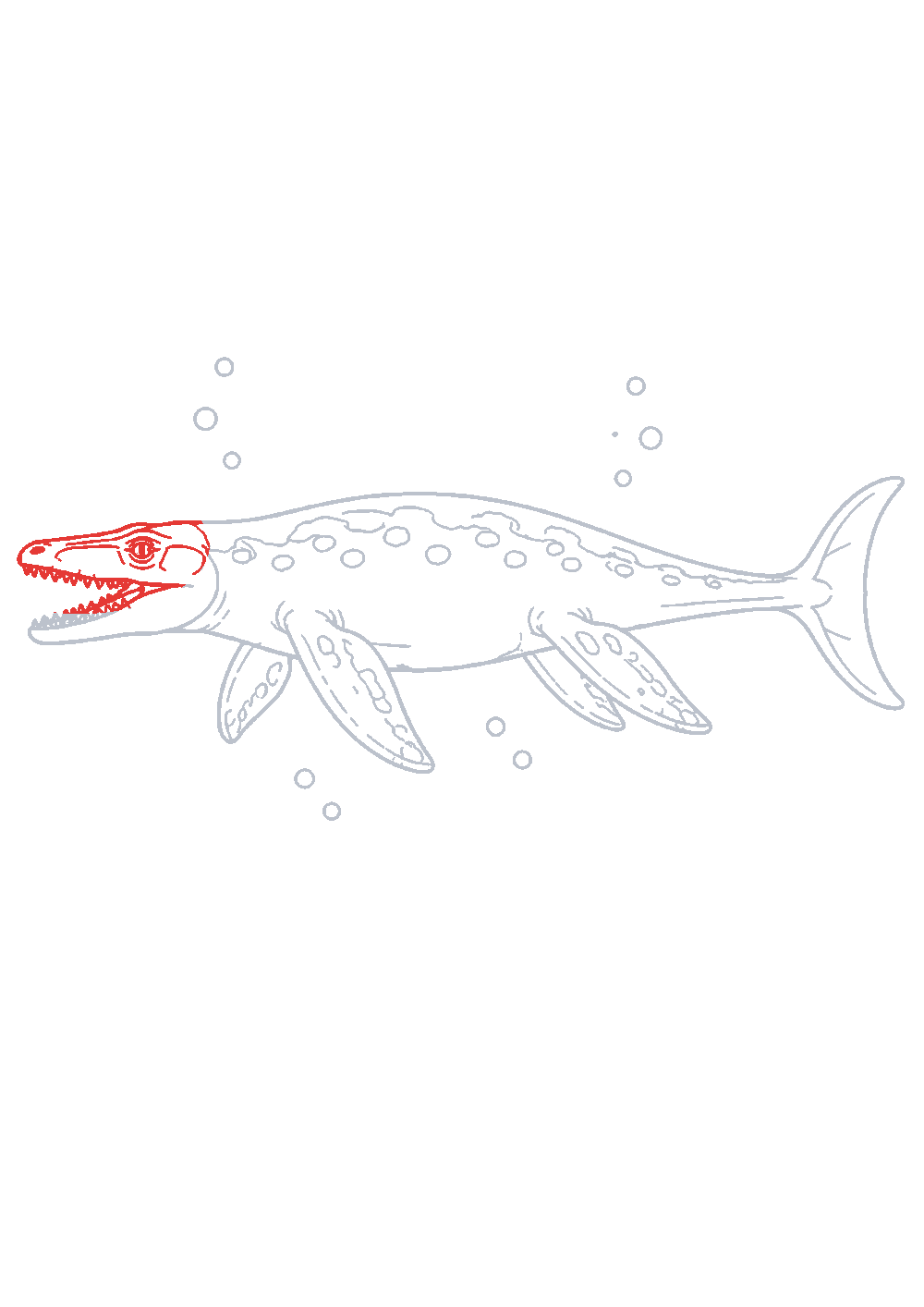 Étape 1 du tutoriel Dessiner un mosasaurus facilement en 7 étapes