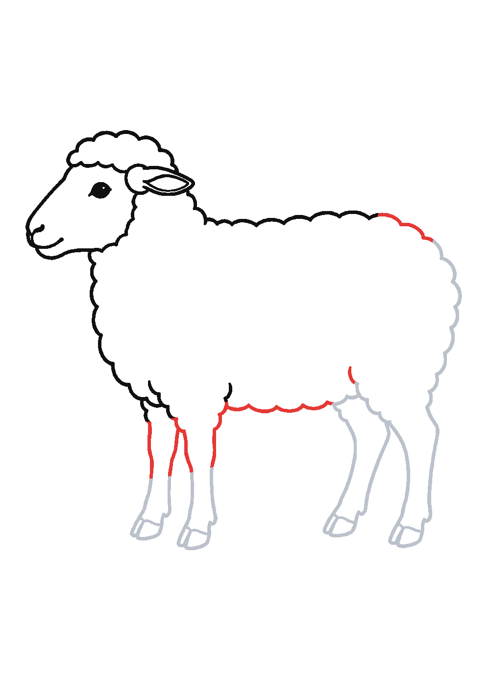 Étape 4