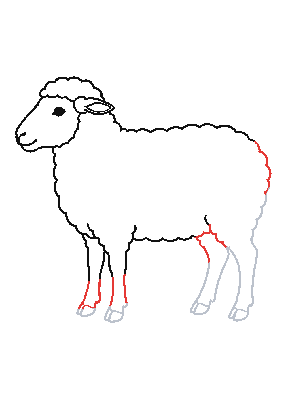 Étape 5