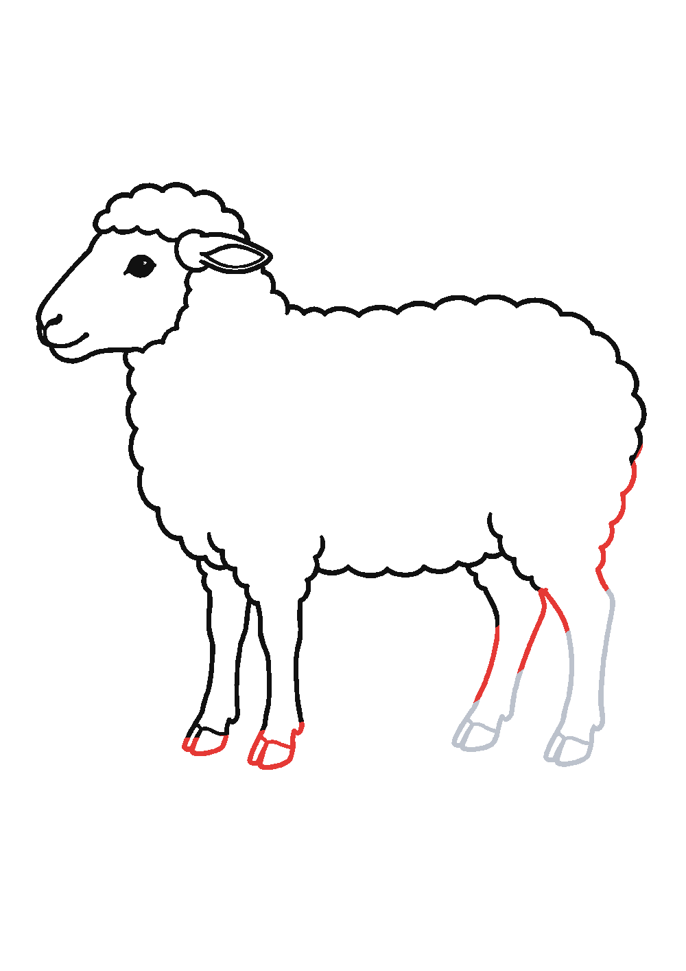 Étape 6