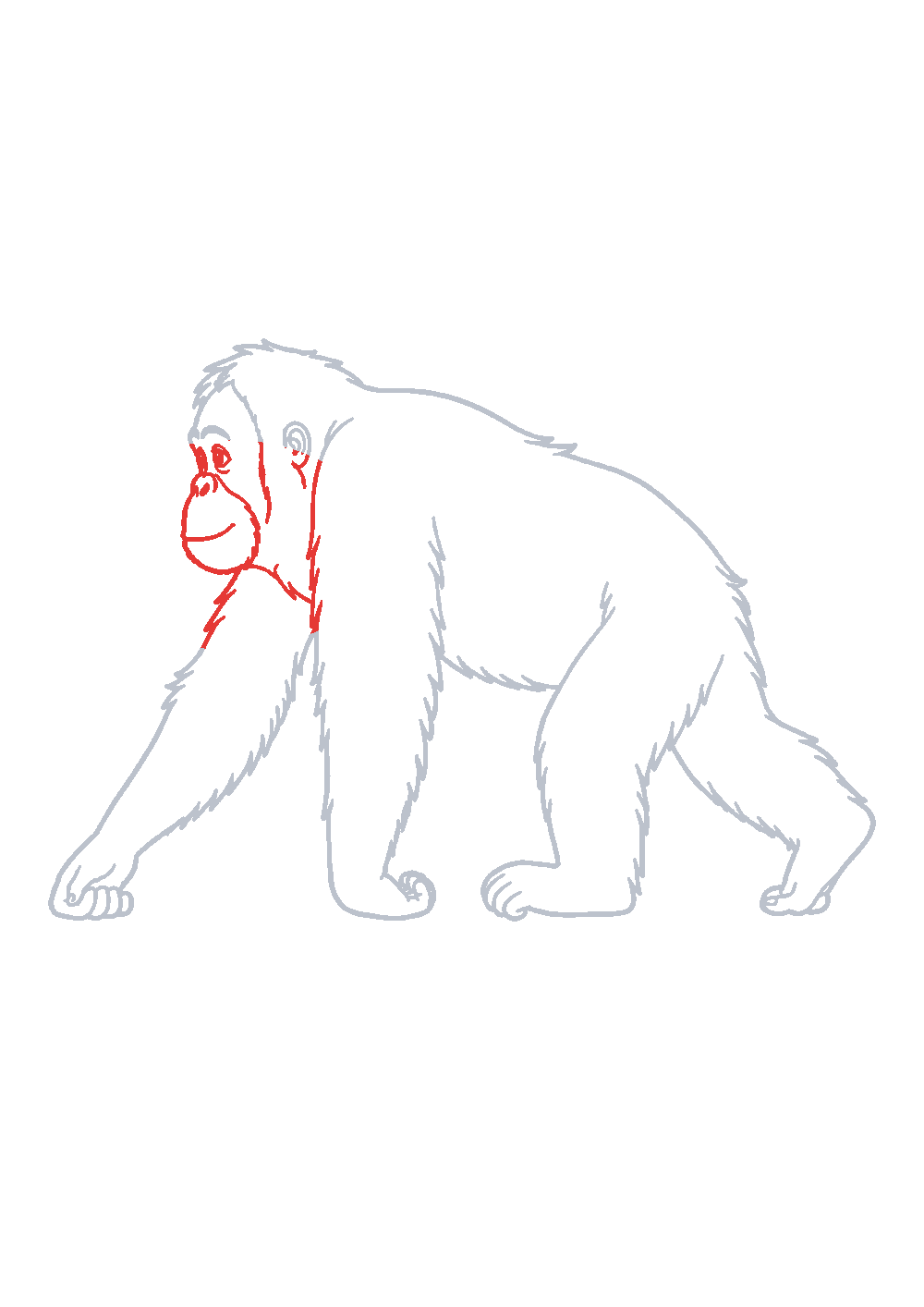 Étape 1 du tutoriel Dessiner un orang-outan facilement en 7 étapes