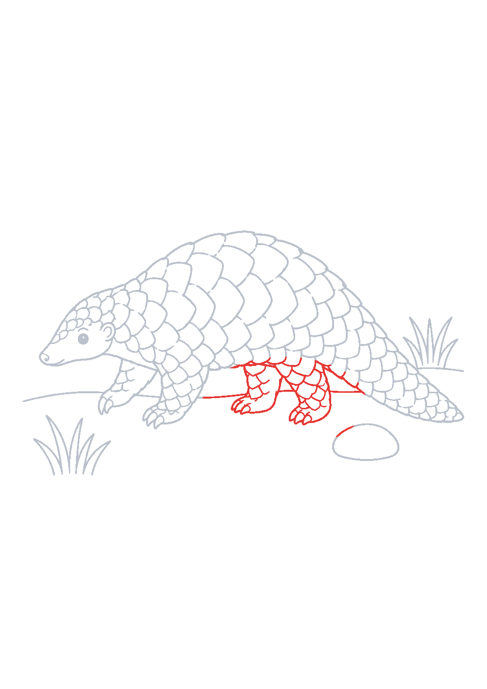 Étape 1 du tutoriel Dessiner un pangolin facilement en 7 étapes