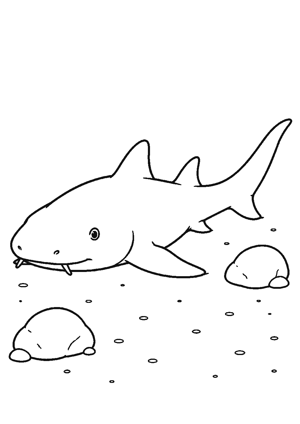 Dessiner un requin facilement en 7 étapes