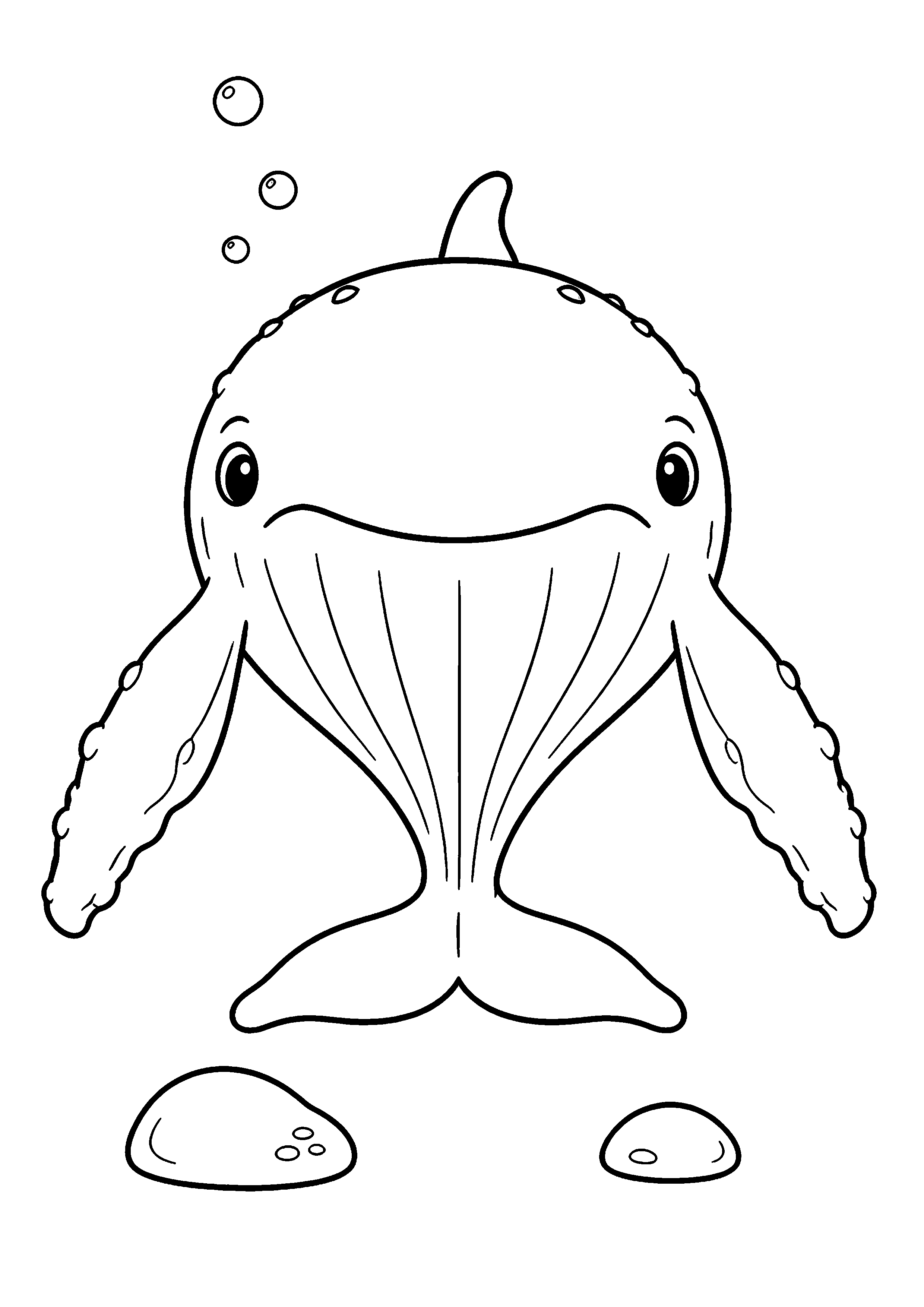 Animaux