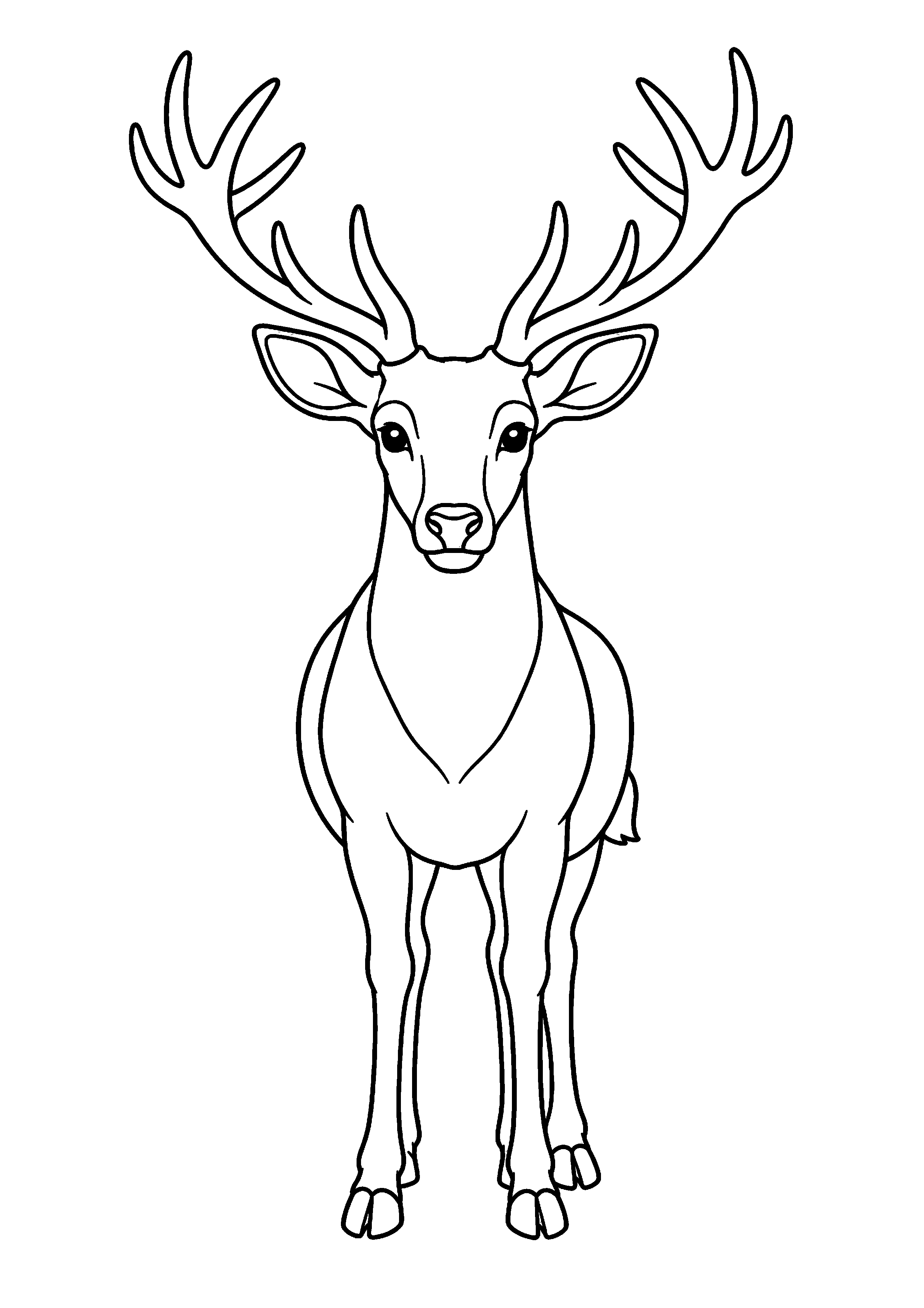 Coloriage Cerf
