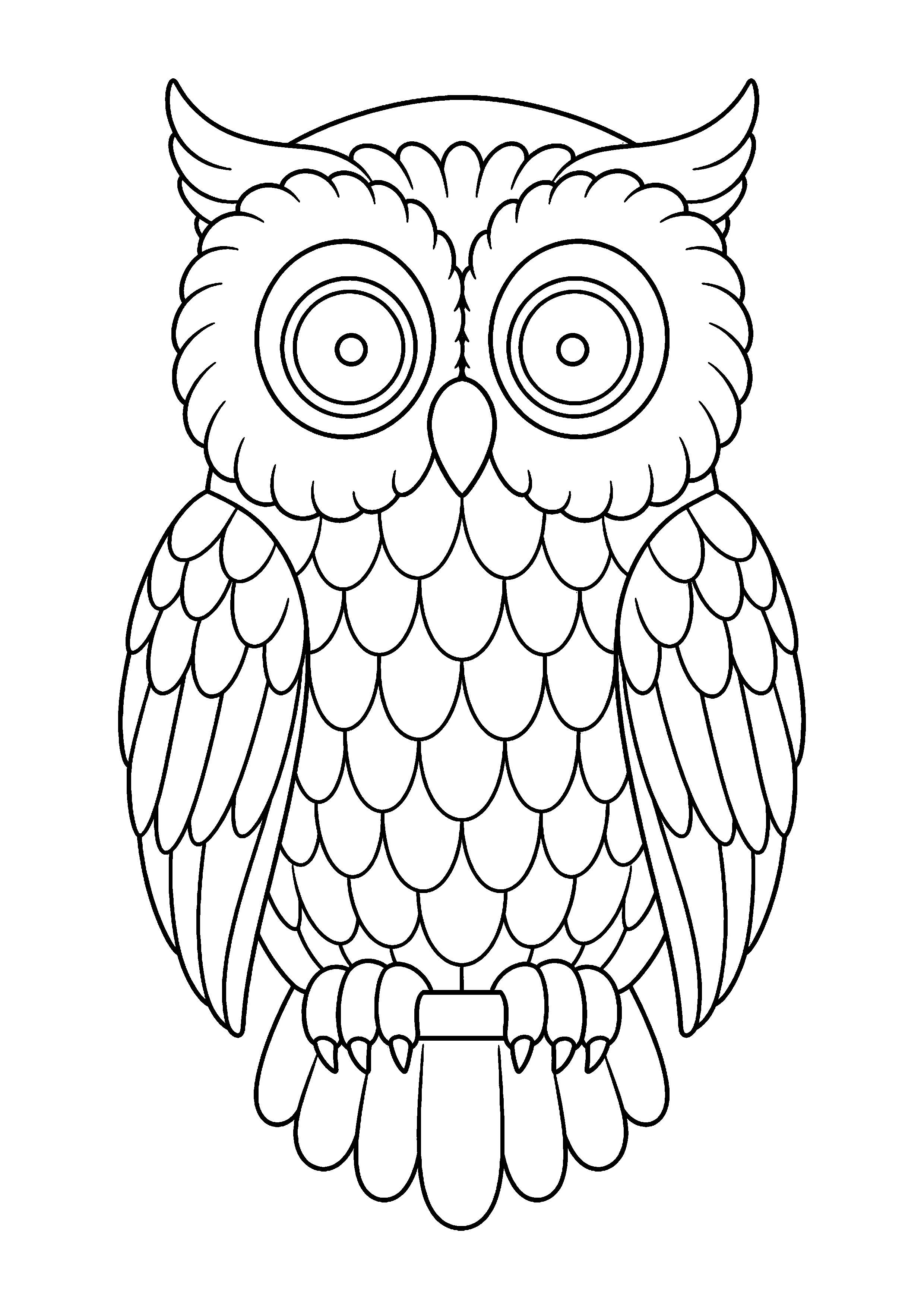 Coloriage Chouette