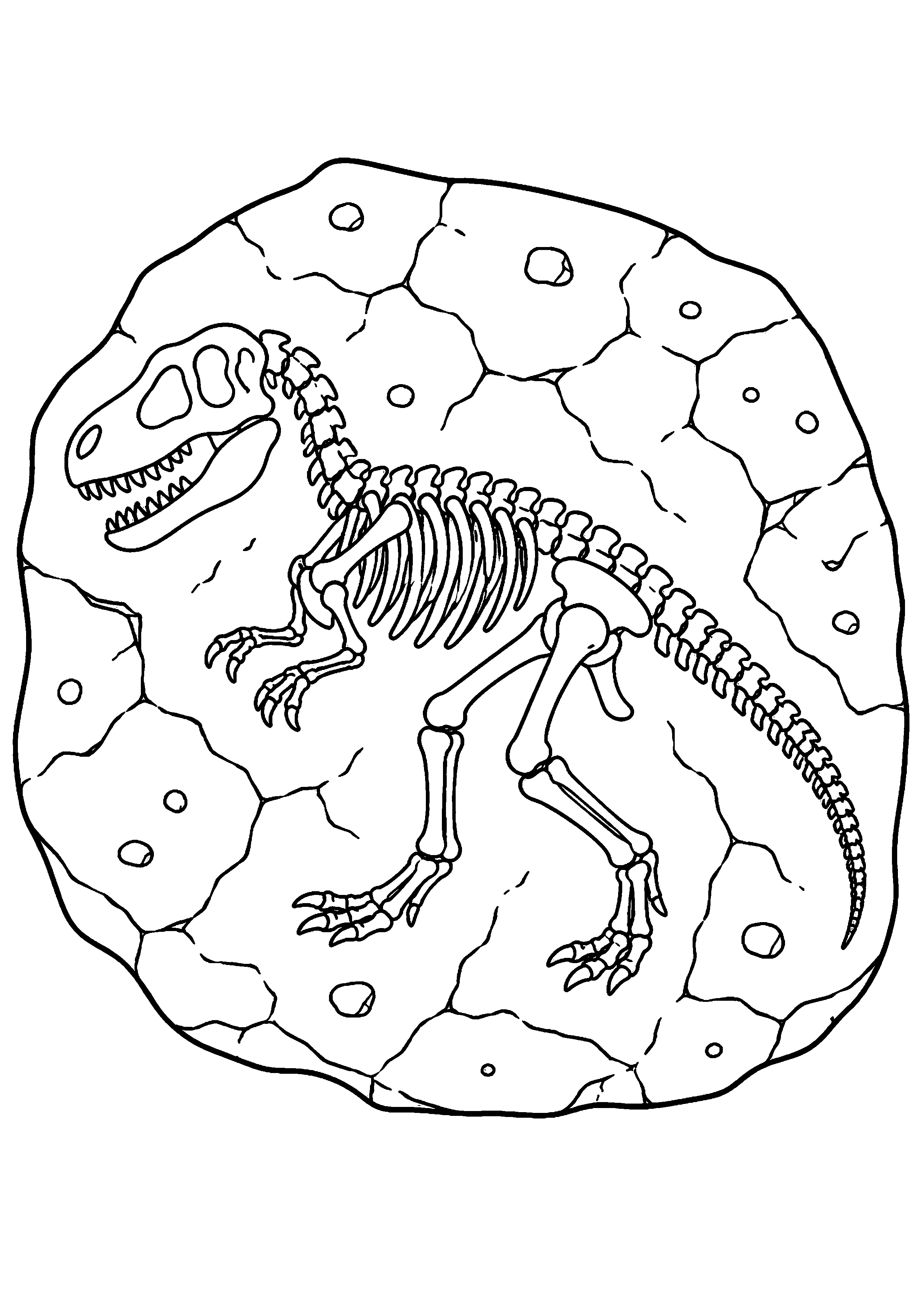 Coloriage Fossiles de dinosaures