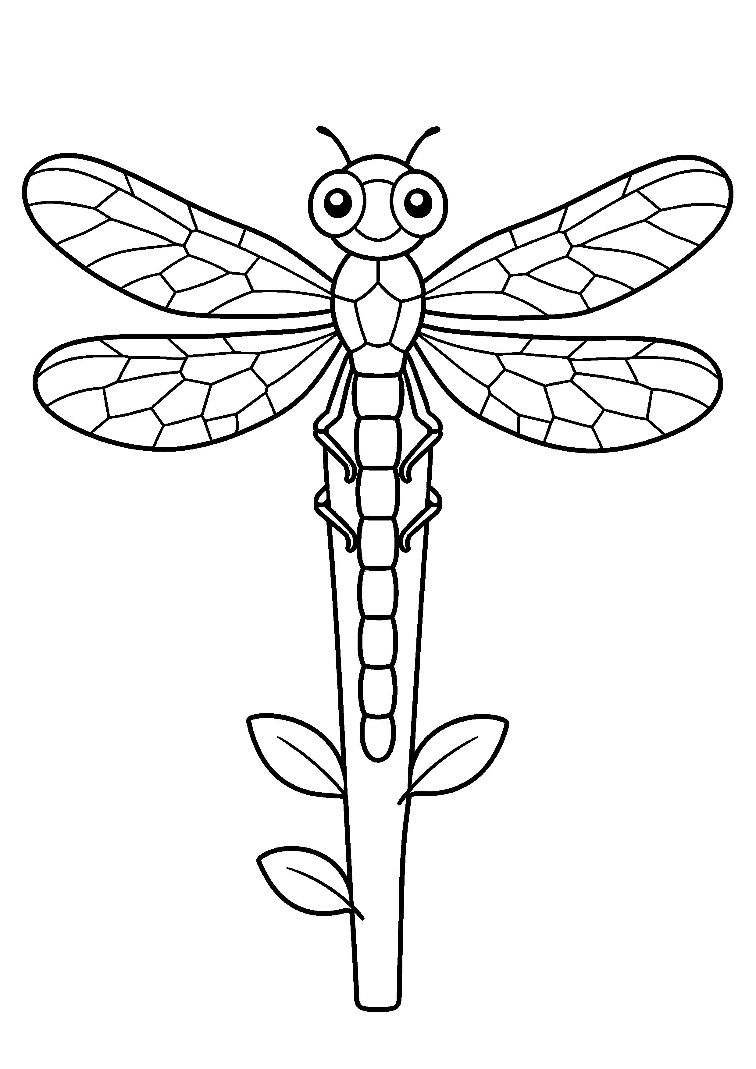 Coloriage Libellule